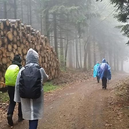 Urlaubsdomizil Am Toepfer - Ferienwohnungen In Olbersdorf المظهر الخارجي الصورة