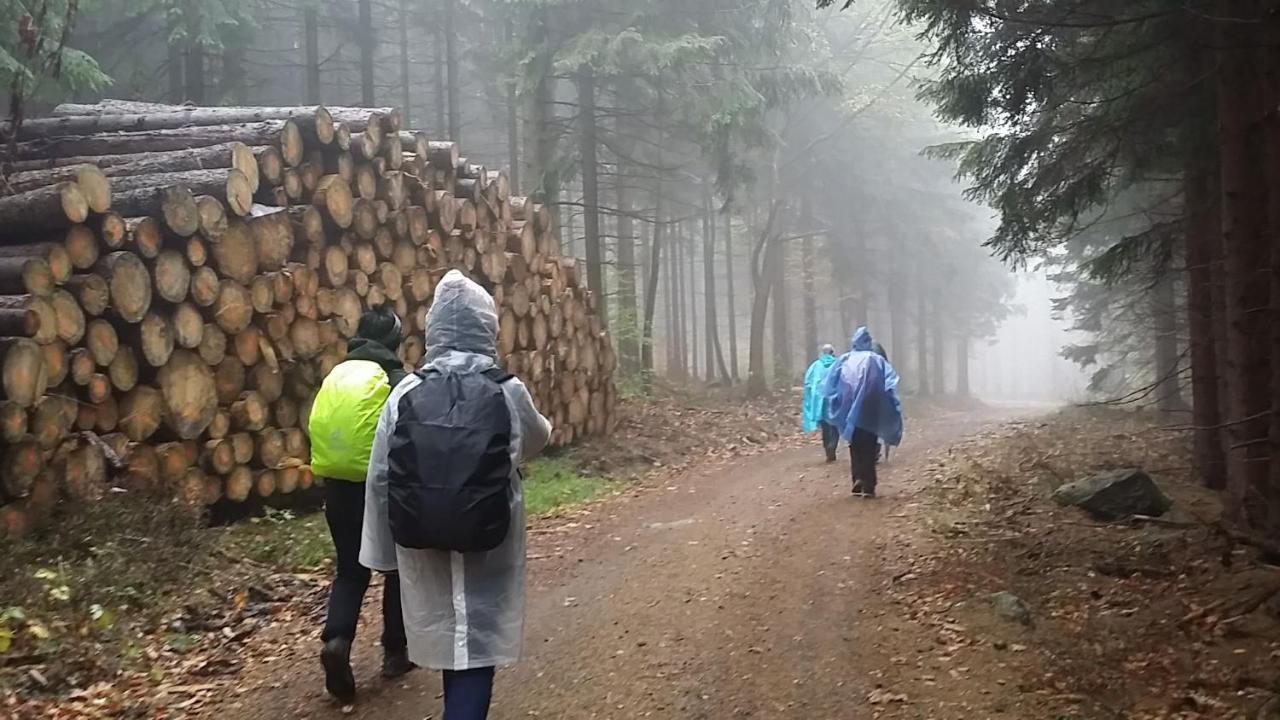 Urlaubsdomizil Am Toepfer - Ferienwohnungen In Olbersdorf المظهر الخارجي الصورة