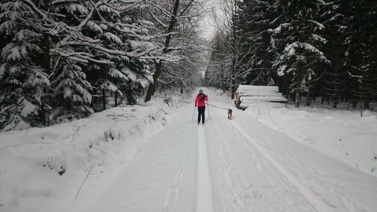 Urlaubsdomizil Am Toepfer - Ferienwohnungen In Olbersdorf المظهر الخارجي الصورة