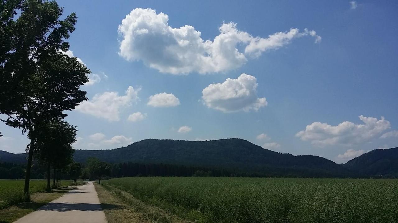 Urlaubsdomizil Am Toepfer - Ferienwohnungen In Olbersdorf المظهر الخارجي الصورة