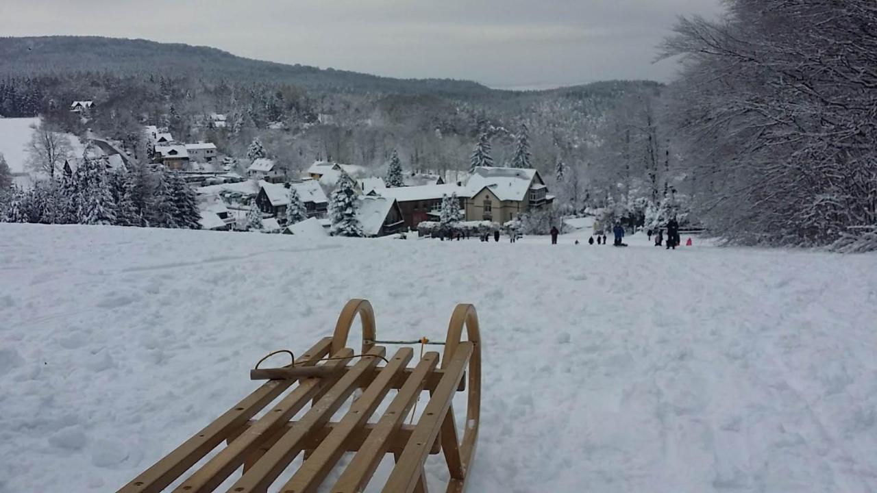 Urlaubsdomizil Am Toepfer - Ferienwohnungen In Olbersdorf المظهر الخارجي الصورة