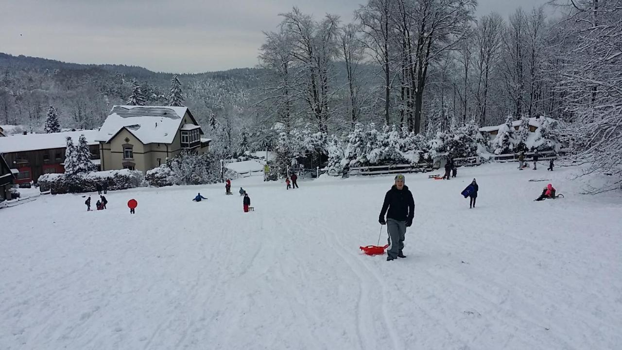 Urlaubsdomizil Am Toepfer - Ferienwohnungen In Olbersdorf المظهر الخارجي الصورة