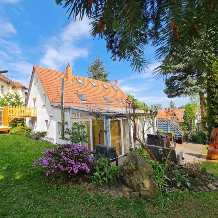 Urlaubsdomizil Am Toepfer - Ferienwohnungen In Olbersdorf المظهر الخارجي الصورة